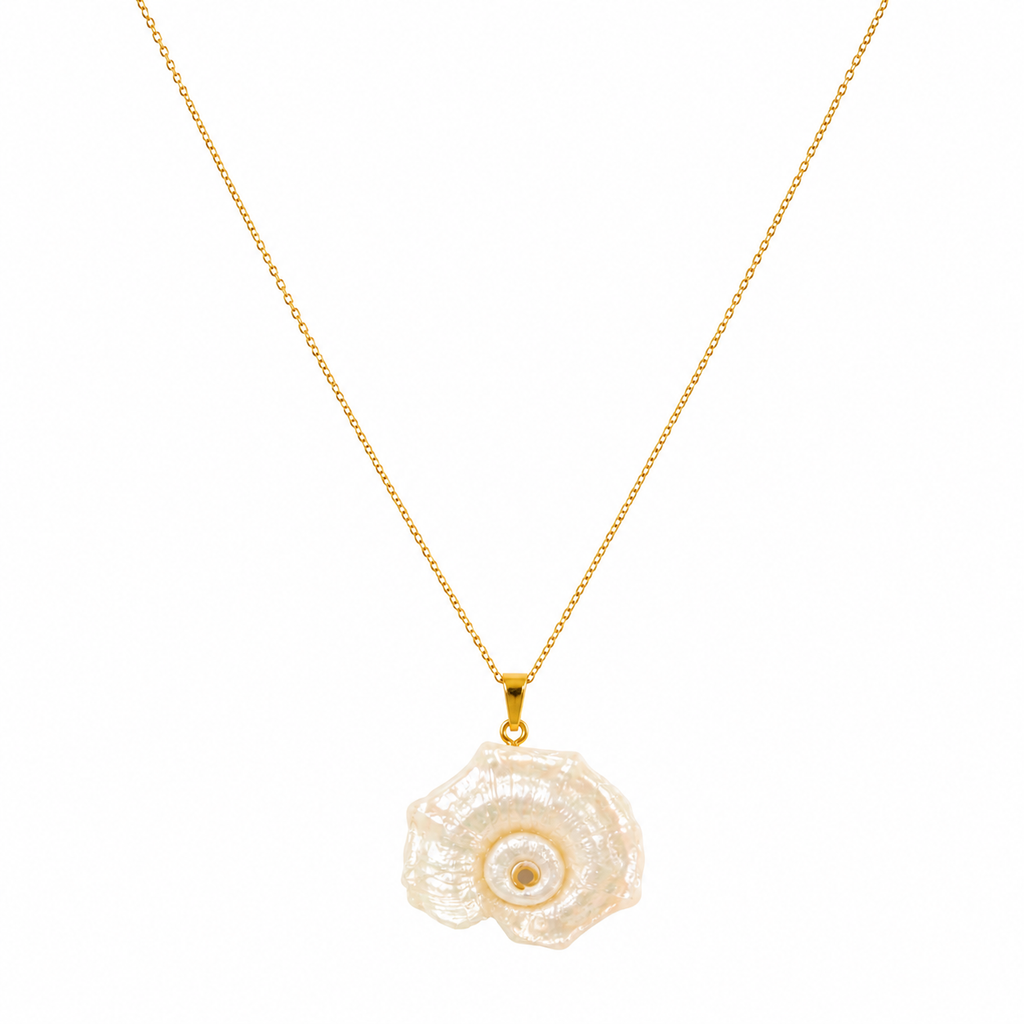 Muschel Collier mit Naturmuschel-Anhänger an 18K vergoldeter Edelstahlkette von Alextra Jewelry